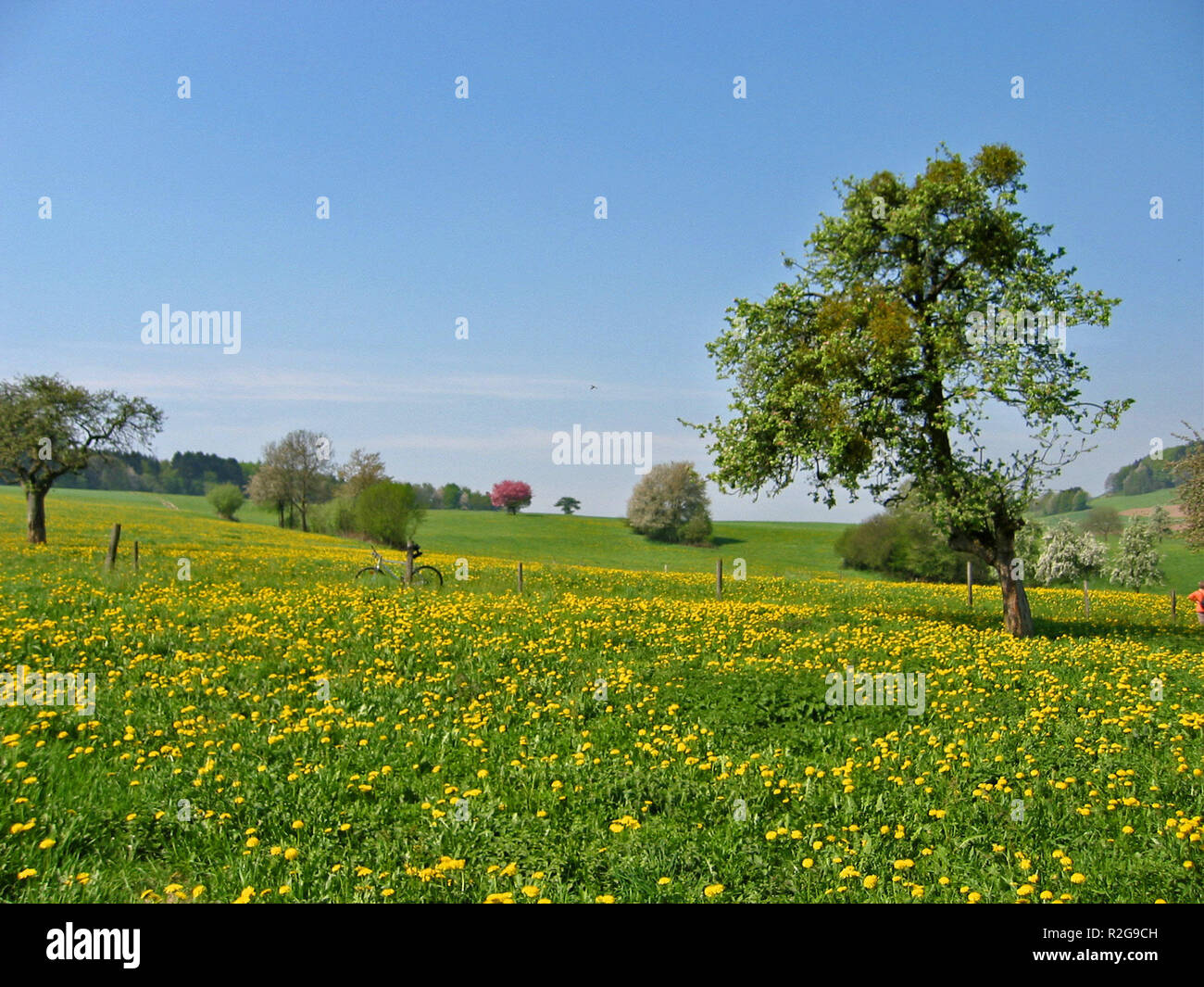 Retegated Relegated Stock Photos & Relegated Stock Images - Alamy