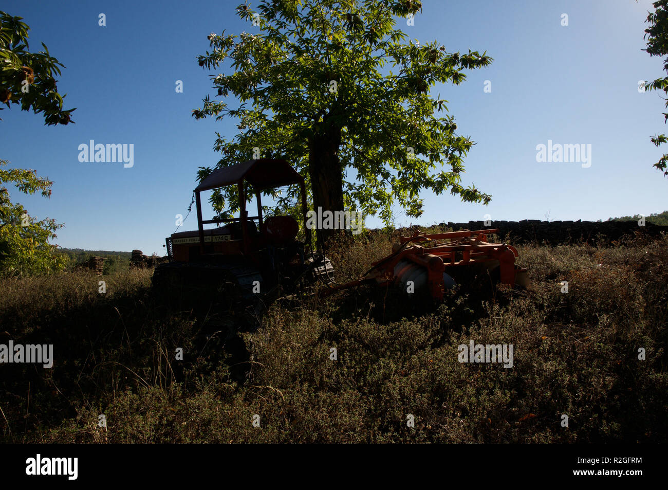 Tractor and plough in Sweet Chestnut wood Stock Photo