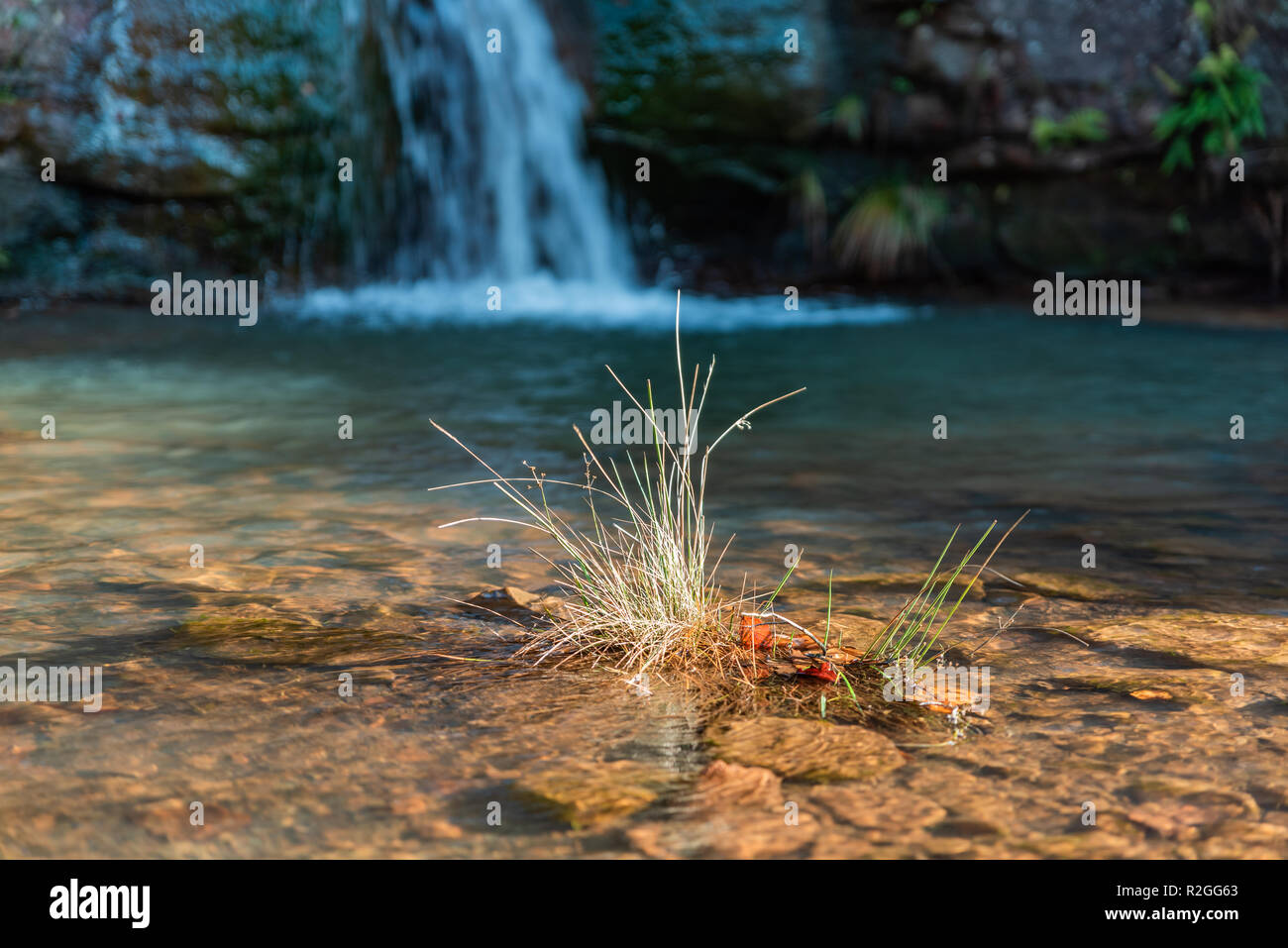 Cascading clear water hi-res stock photography and images - Alamy
