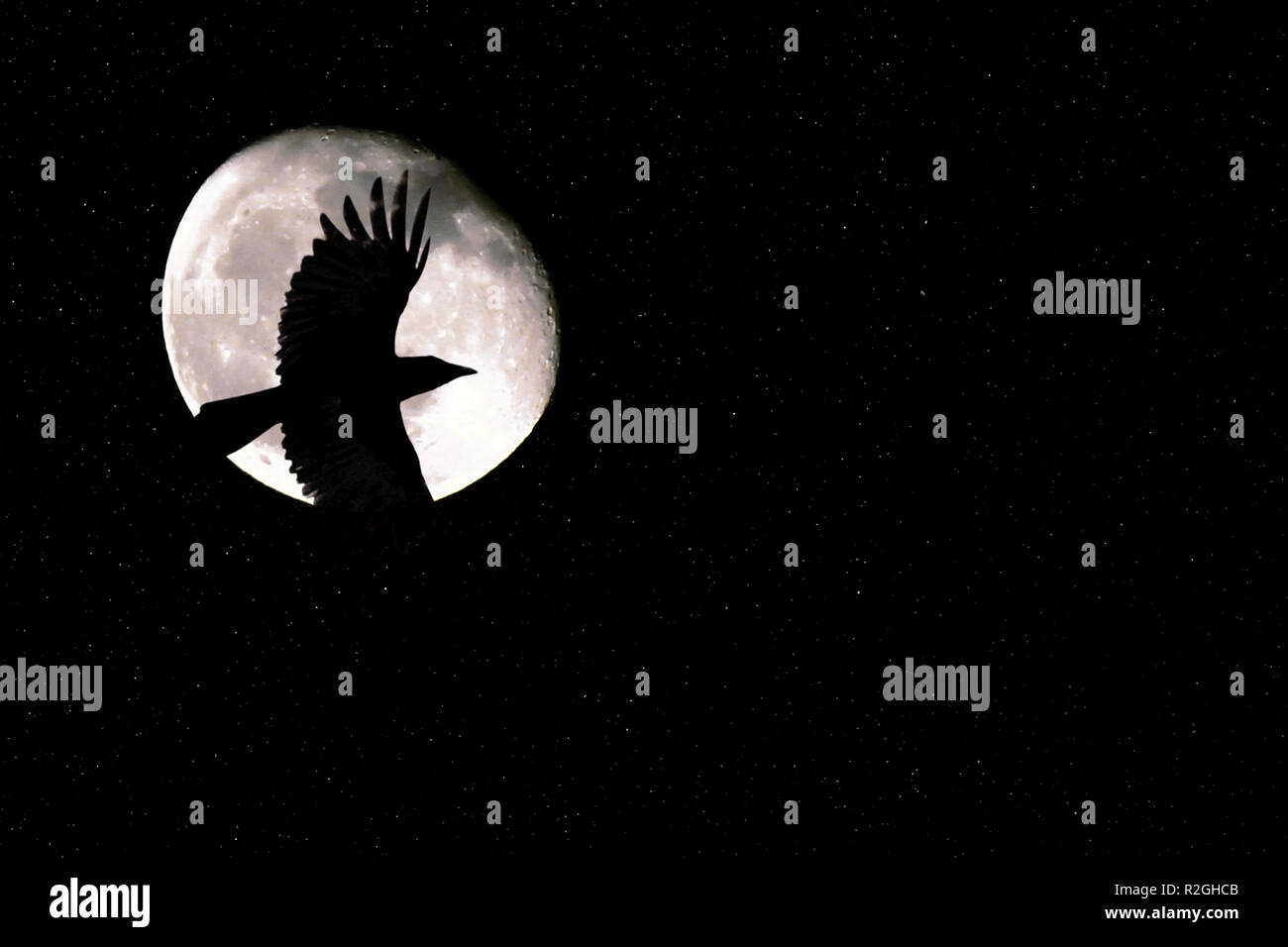 superfly fly to the moon