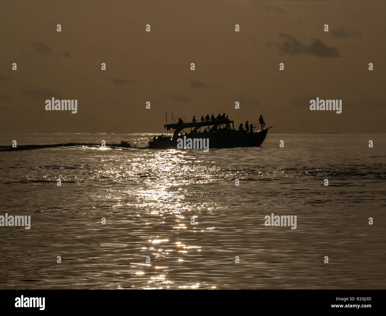 Sunset dolphin cruise from Meeru Island, Maldives Stock Photo