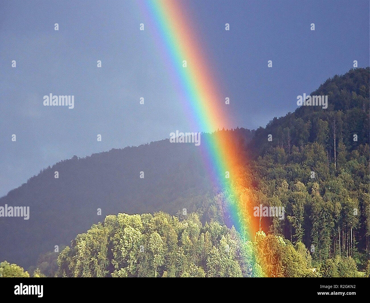 after the rain Stock Photo - Alamy