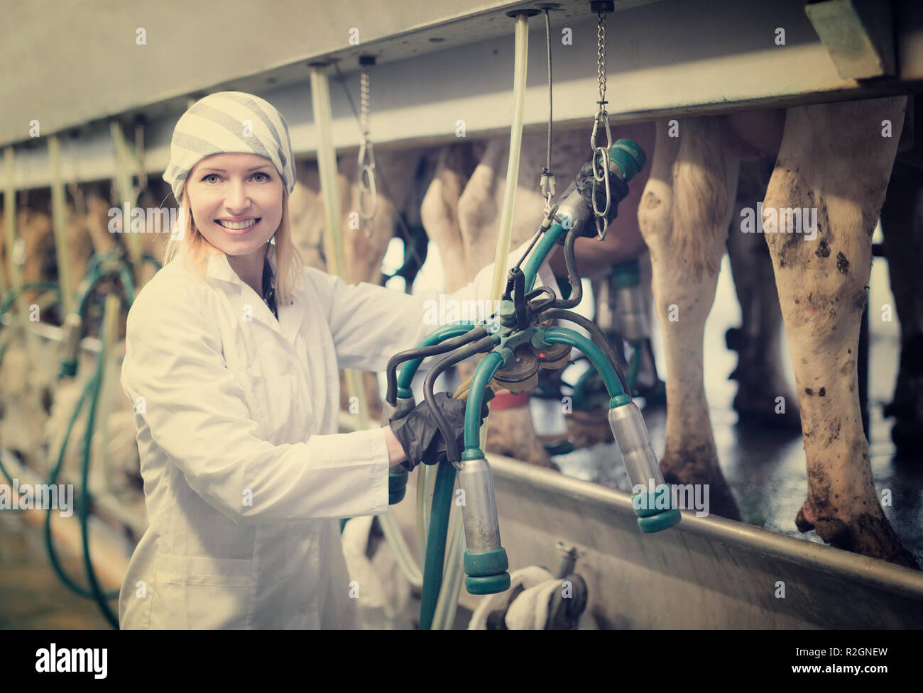 Фильм про доярок деревню и любовь. Кирилл жандаров доярка из хацапетовки. Татьяна назарова доярка из хацапетовки 2. Доярка вызов. Доярка вызов.