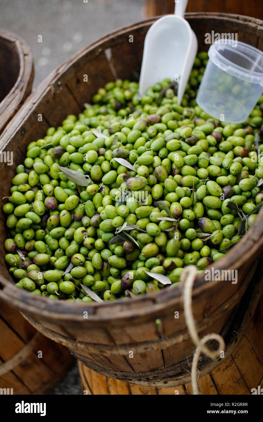 Juicy green olives in wooden barrel hires stock photography and images