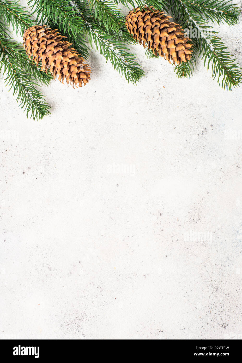 Christmas background with fir tree and cones on white backgroun Stock ...