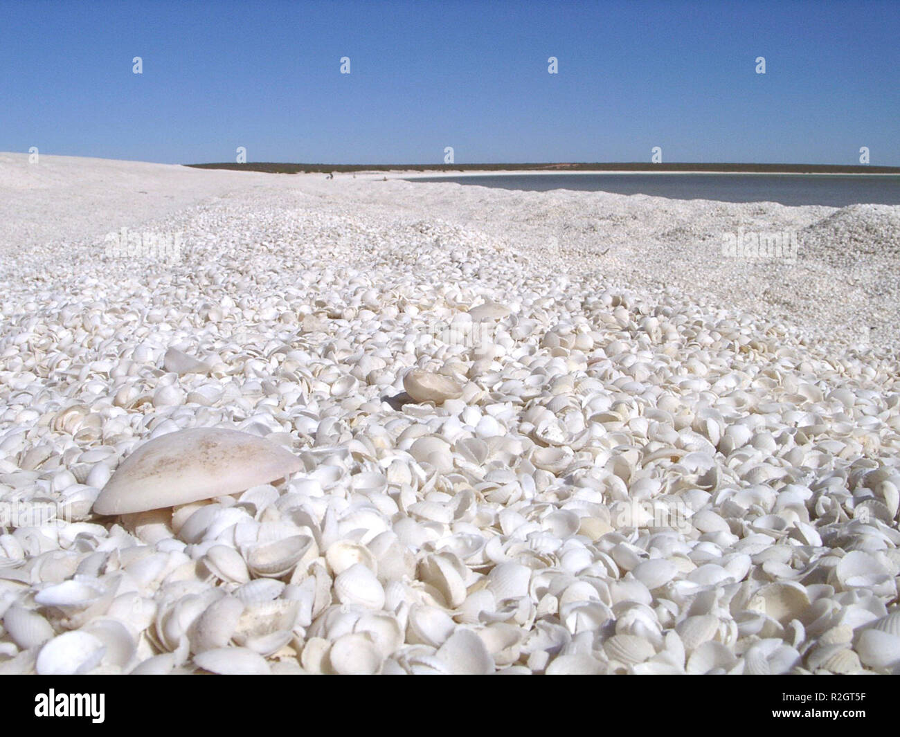 shell beach Stock Photo