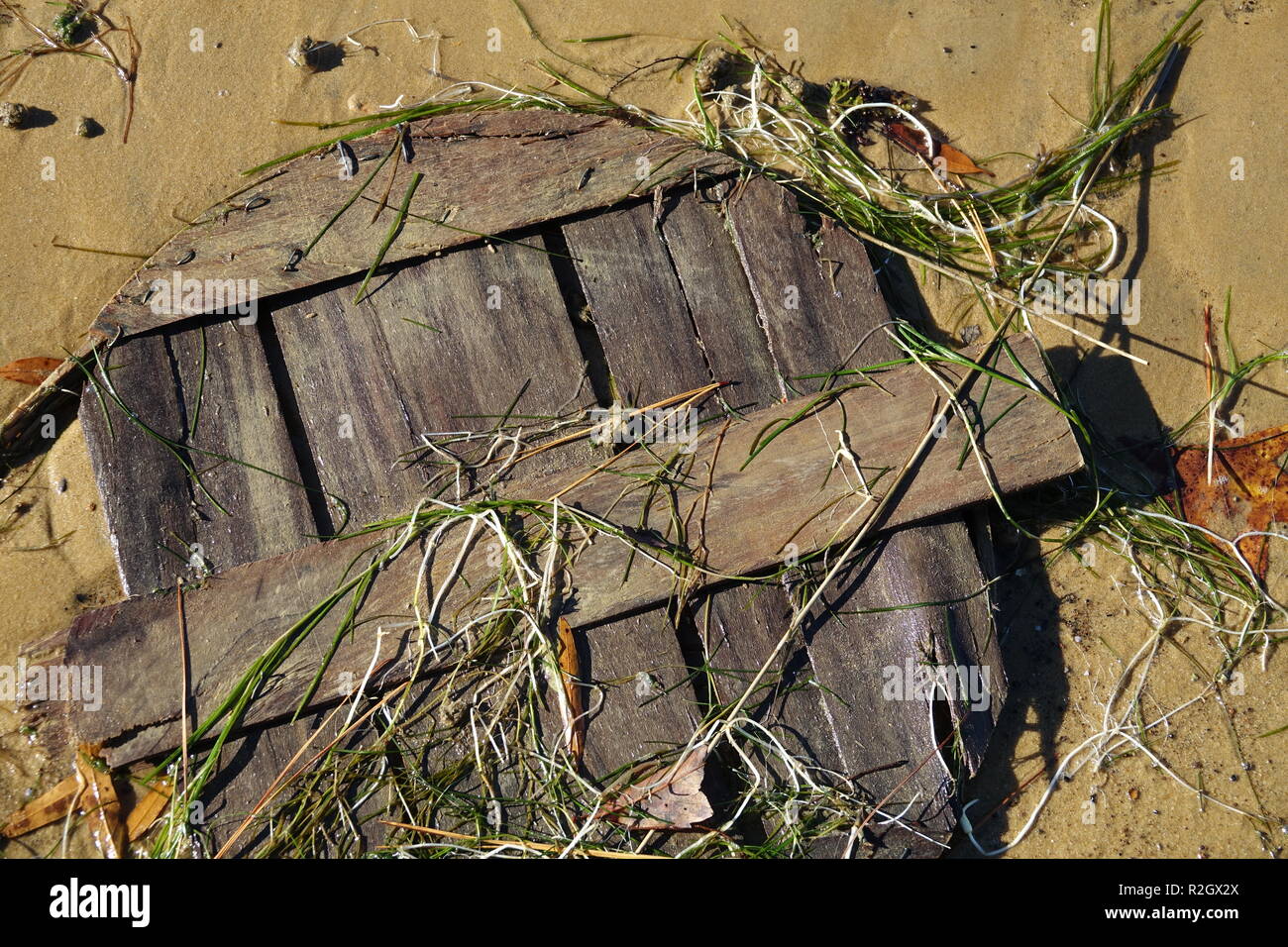 Waterman's bushel basket lid on beach partial covered with eel grass Stock Photo