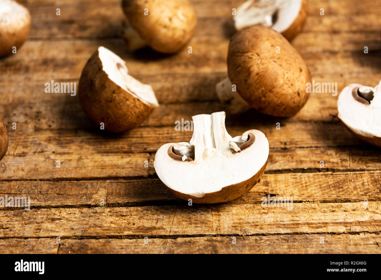 Top view edible mushrooms hi-res stock photography and images - Alamy