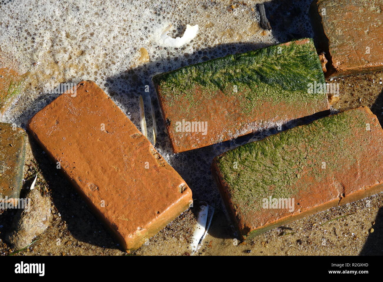 red bricks from eroded colonial era well with green algae and wave foam Stock Photo