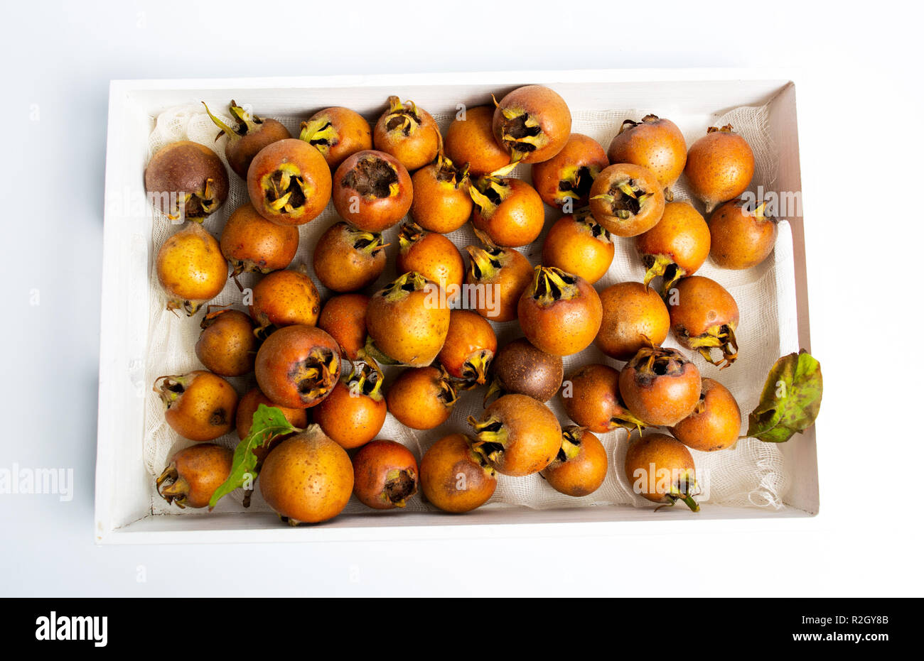 raw medlars on a white background close up Stock Photo