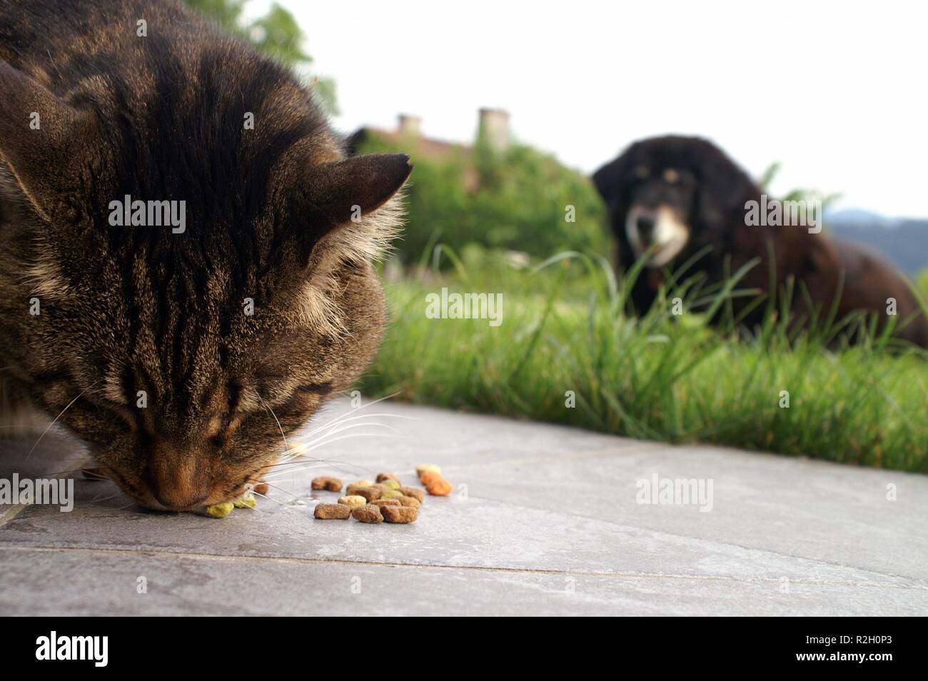 Everything Revolves Around Just Eat Stock Photo Alamy