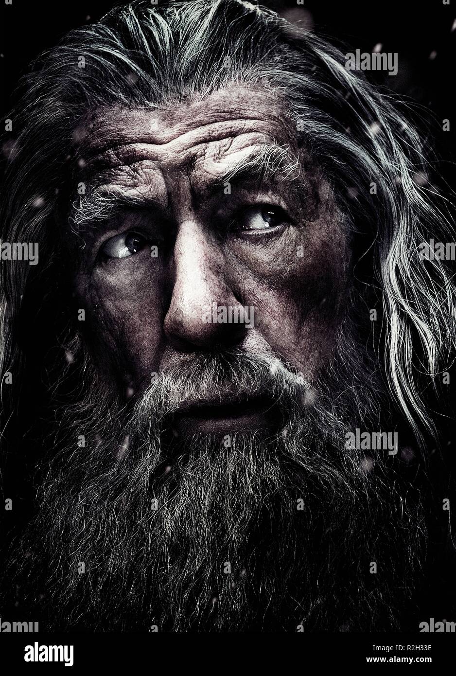 The Hobbit : The Battle of the Five Armies Year : 2014 New Zealand / USA Director : Peter Jackson Ian McKellen Movie poster (textless) Stock Photo