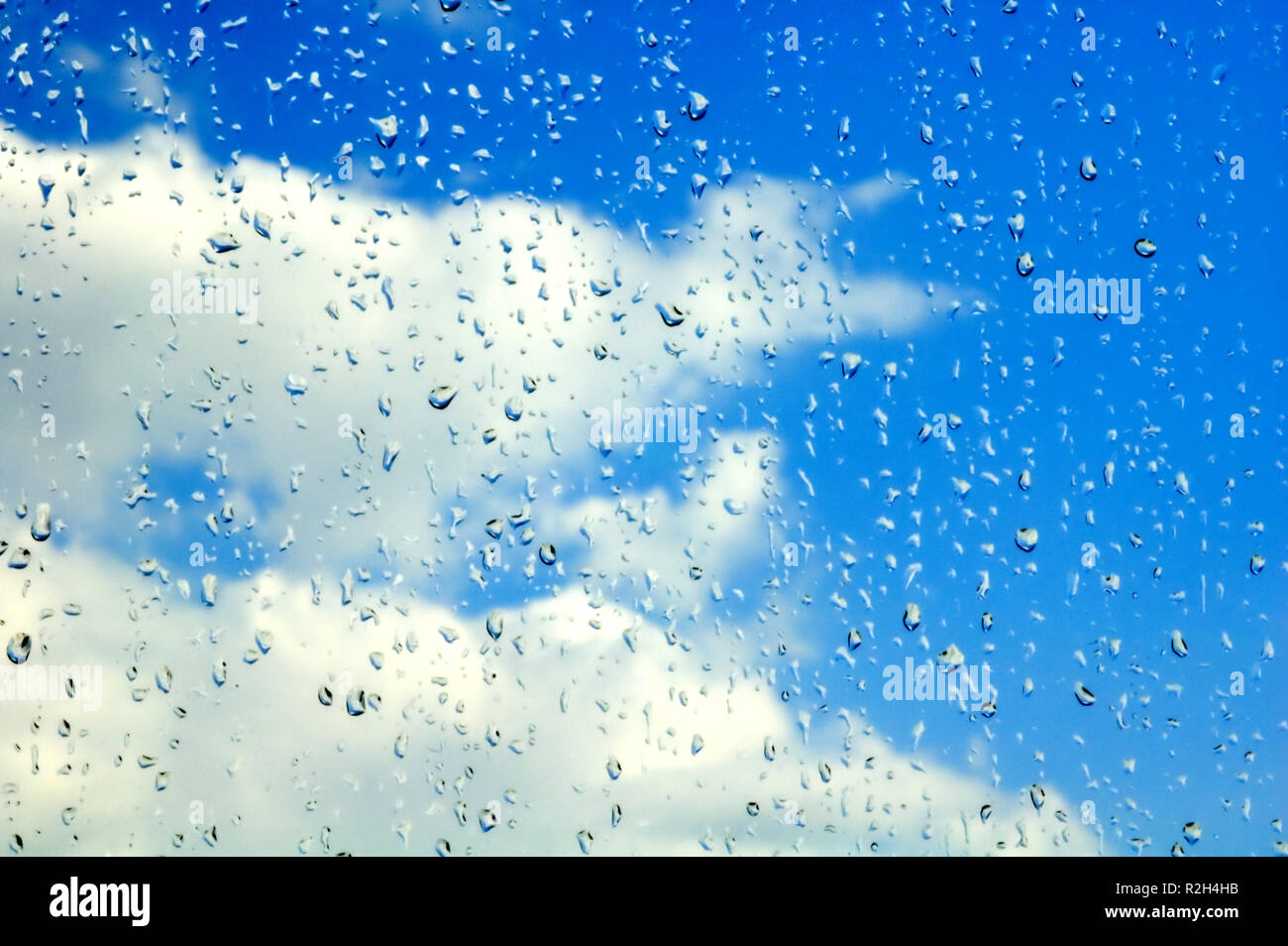sunshine after rain Stock Photo