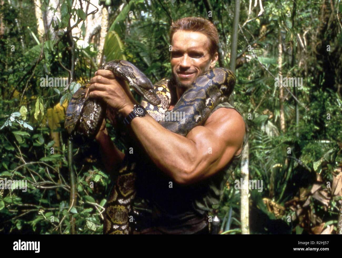 Predator Year 1987 USA Director John McTiernan Arnold Schwarzenegger Stock Photo Alamy