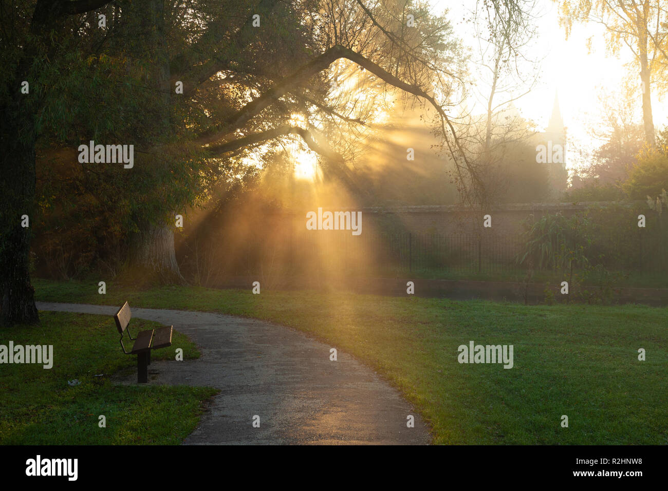 Lens flare through the trees hi-res stock photography and images - Alamy