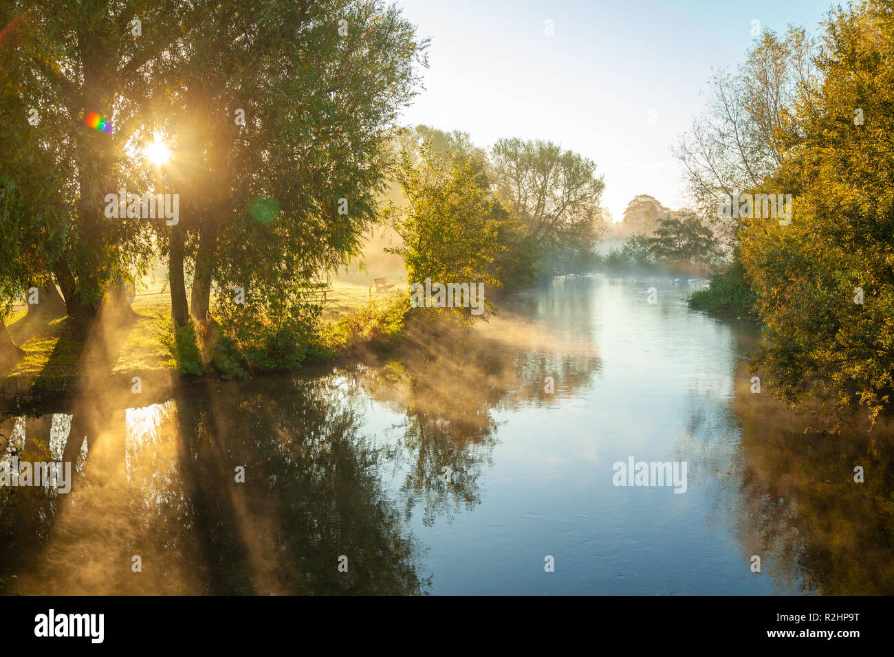 A misty morning on the River Avon in Elizabeth Gardens Salisbury Wiltshire. Stock Photo