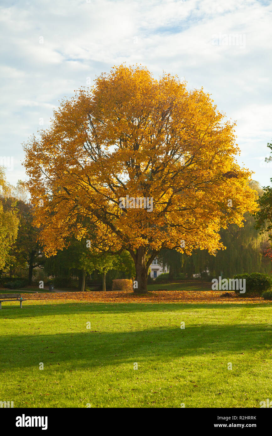 Queen Elizabeth Gardens in Salisbury England Stock Photo Alamy