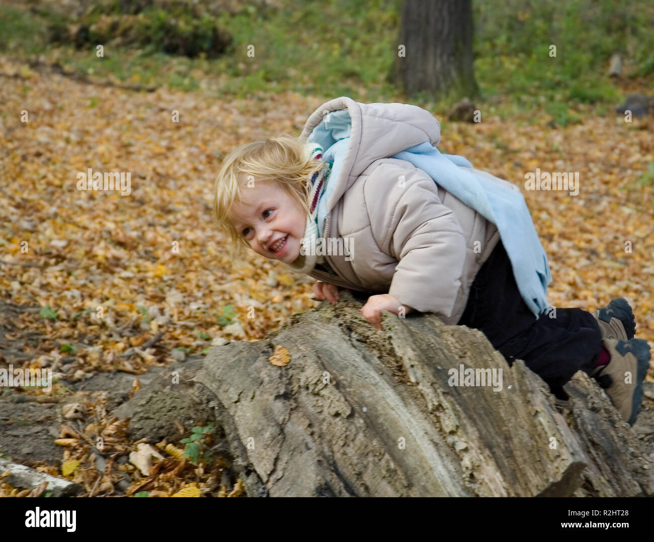 the small successes in life Stock Photo