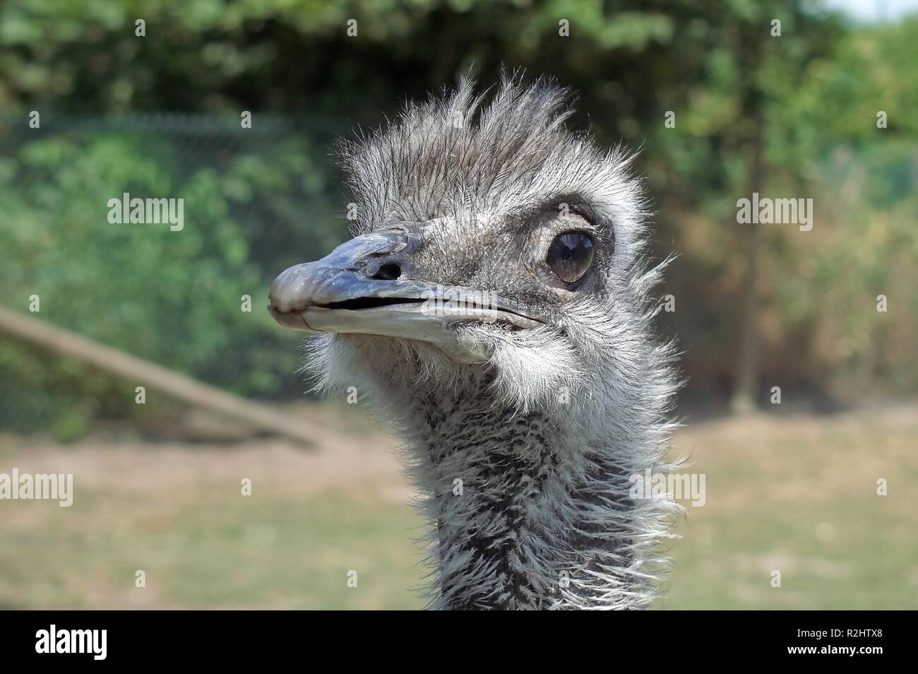 make it quick Stock Photo - Alamy