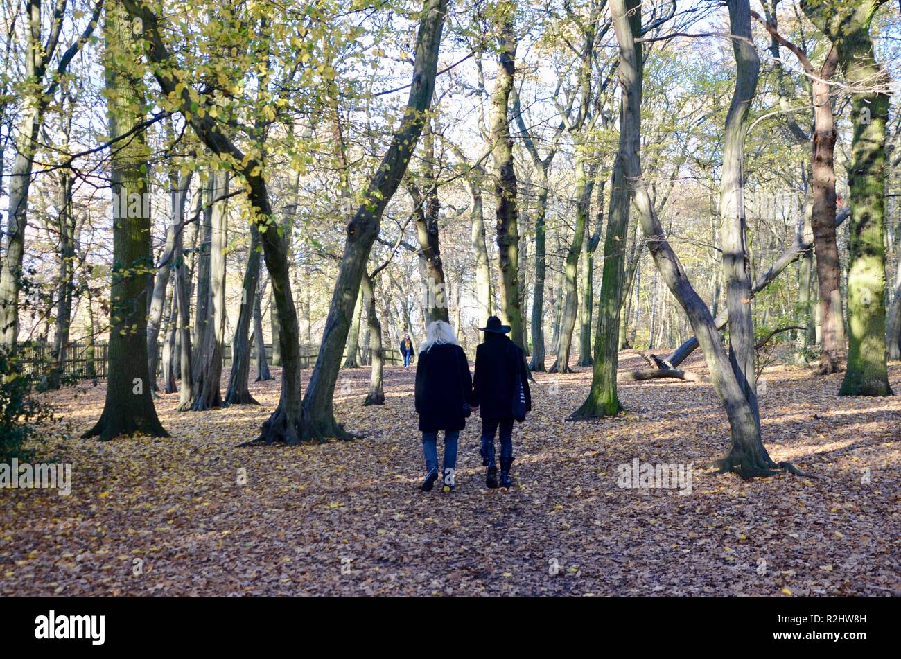 a goth couple stroll through historic highgate wood north london N10 england Stock Photo
