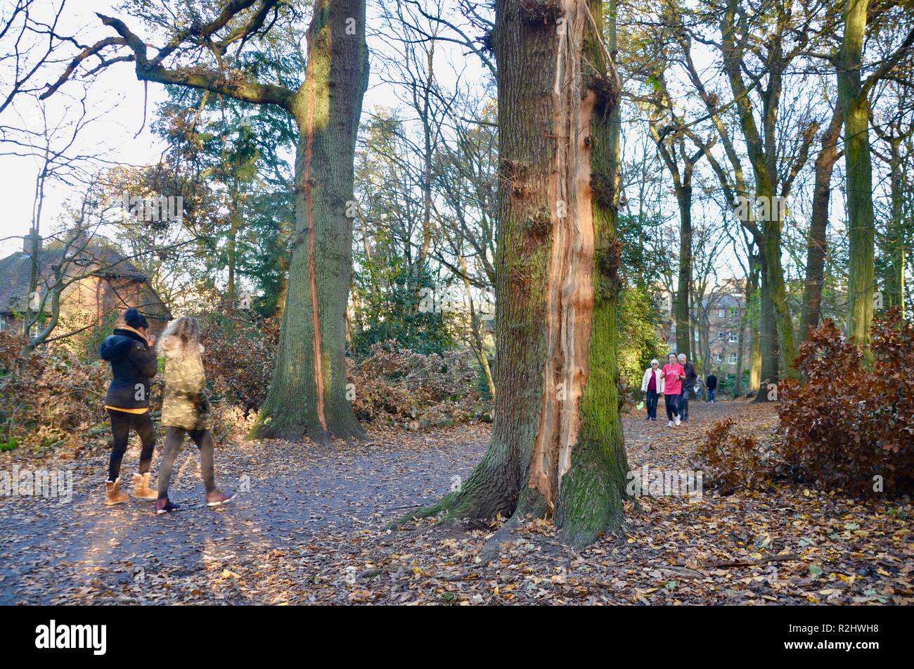people walking in historic highgate wood north london N10 england Stock