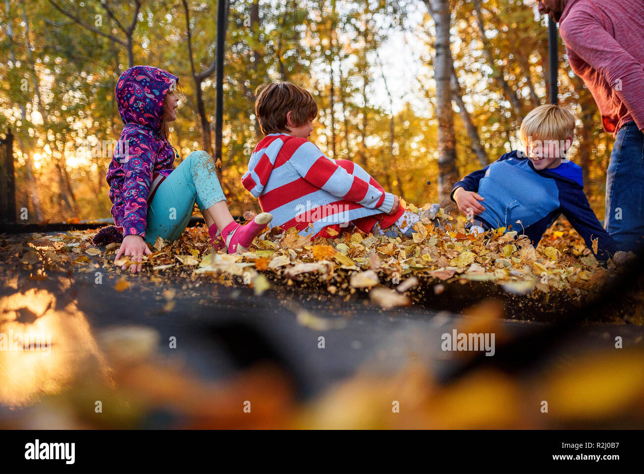 Three children and their father playing on a trampoline covered in autumn leaves, United States Stock Photo