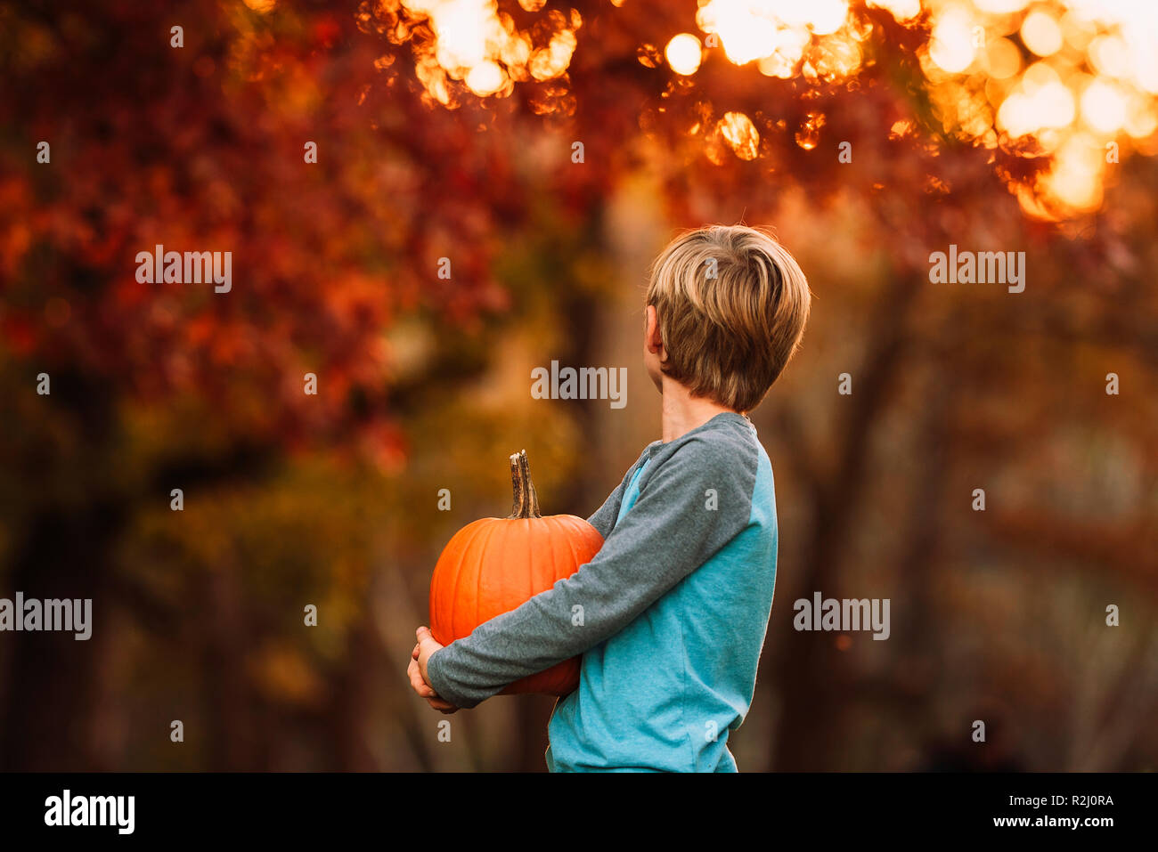 Portrait of a Boy standing in a garden carrying a pumpkin, United States Stock Photo