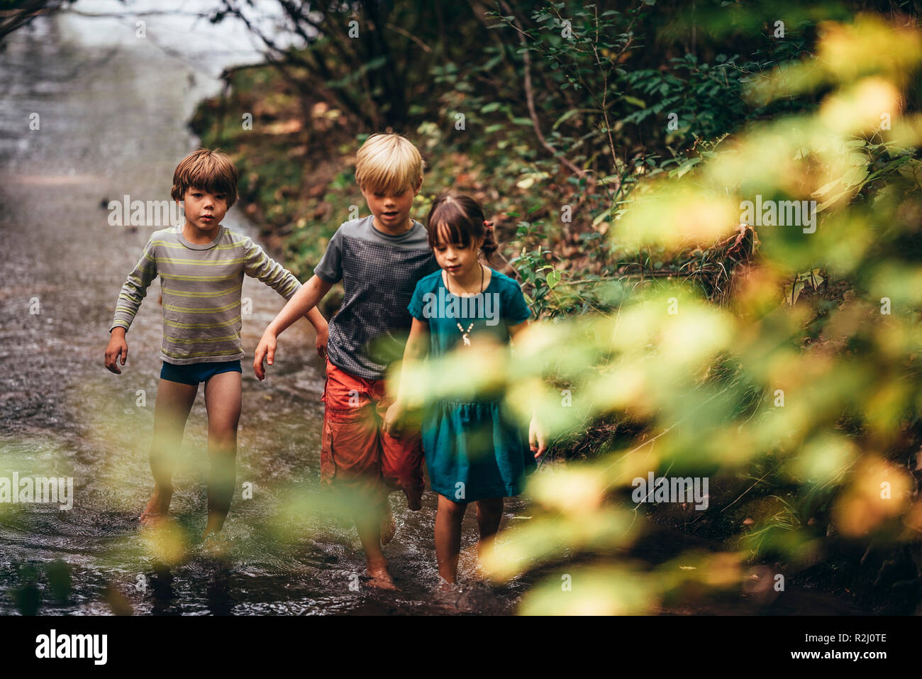 Three children walking in a creek, United States Stock Photo