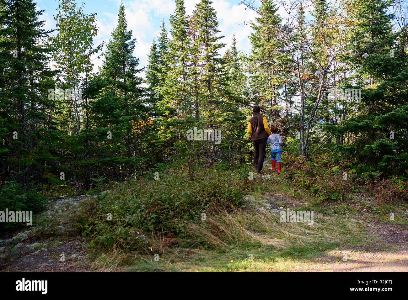 Father and son hiking in the woods, Lake Superior Provincial Park, United States Stock Photo