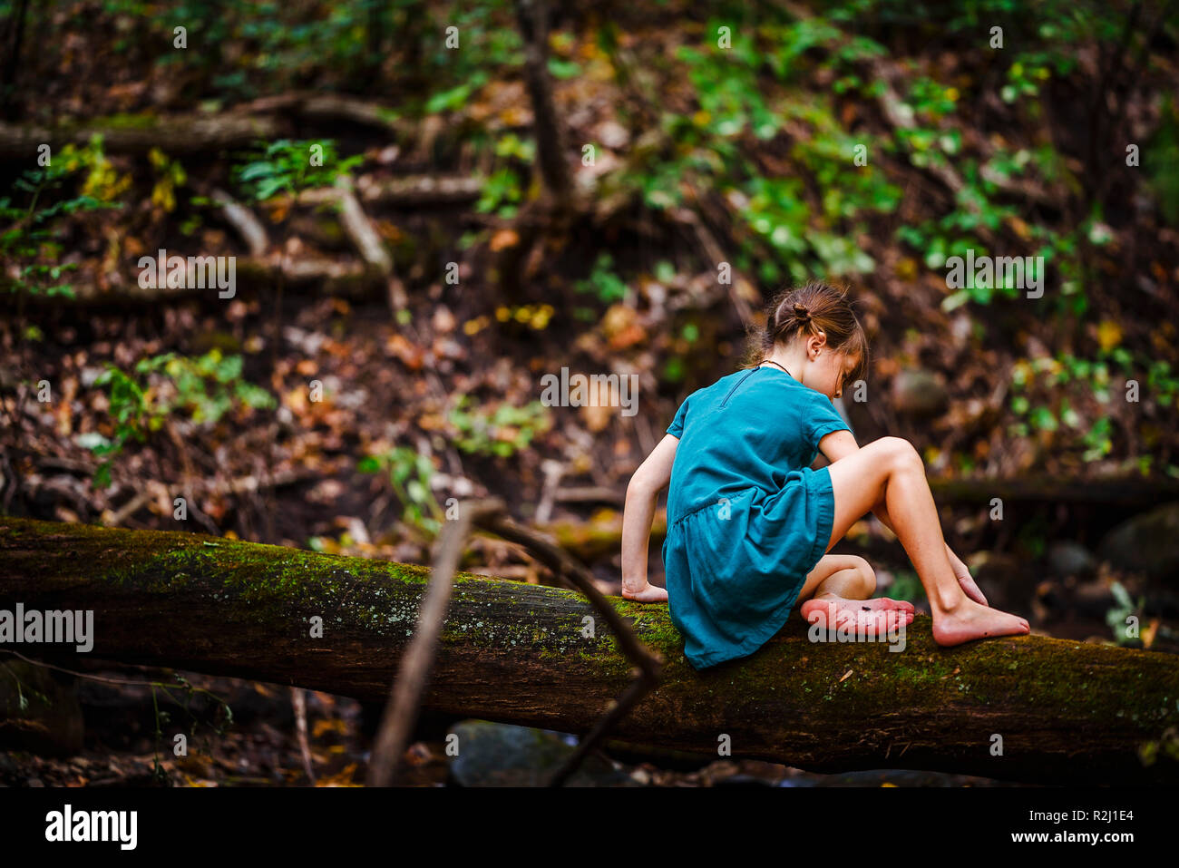 Girl climbing along a fallen tree in the forest, United States Stock Photo