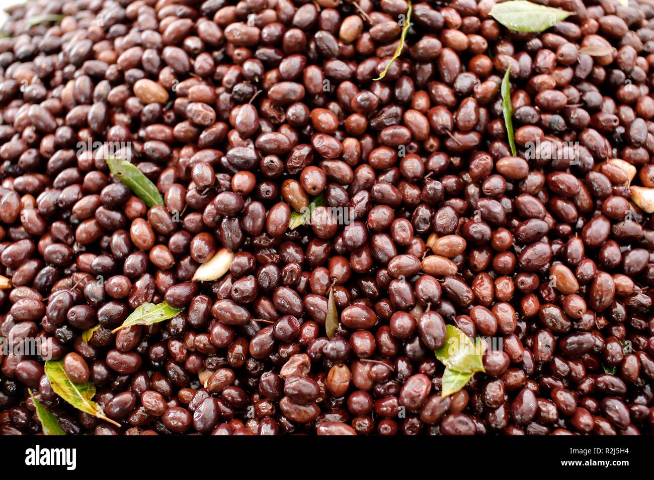 Close up of lots of small black olives Stock Photo