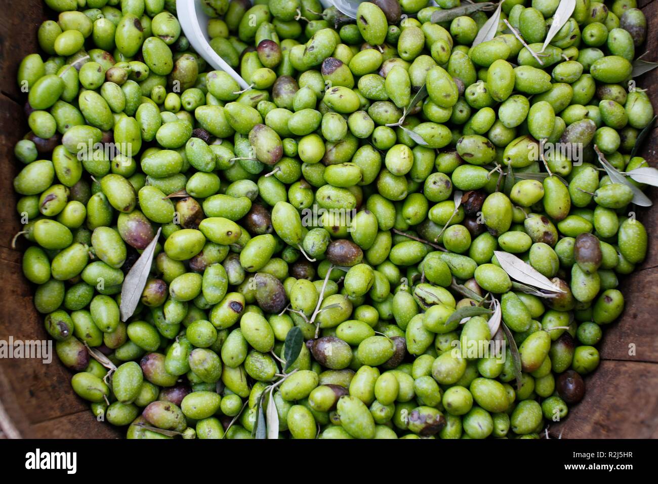 Close up of small green olives fo sale in mediterranean market Stock Photo