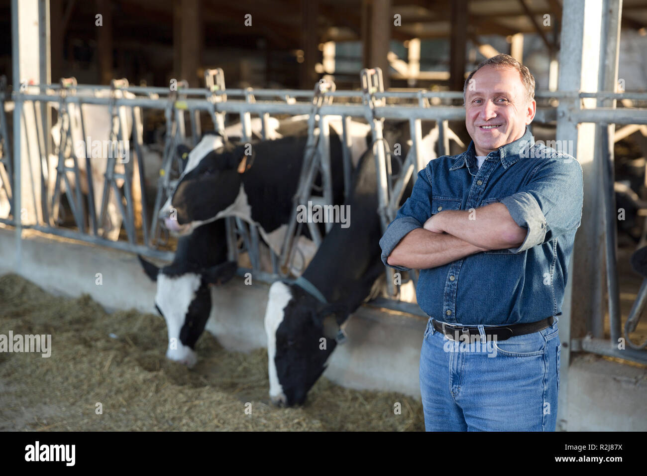Portrait of male farmer who is standing at the cow farm Stock Photo - Alamy