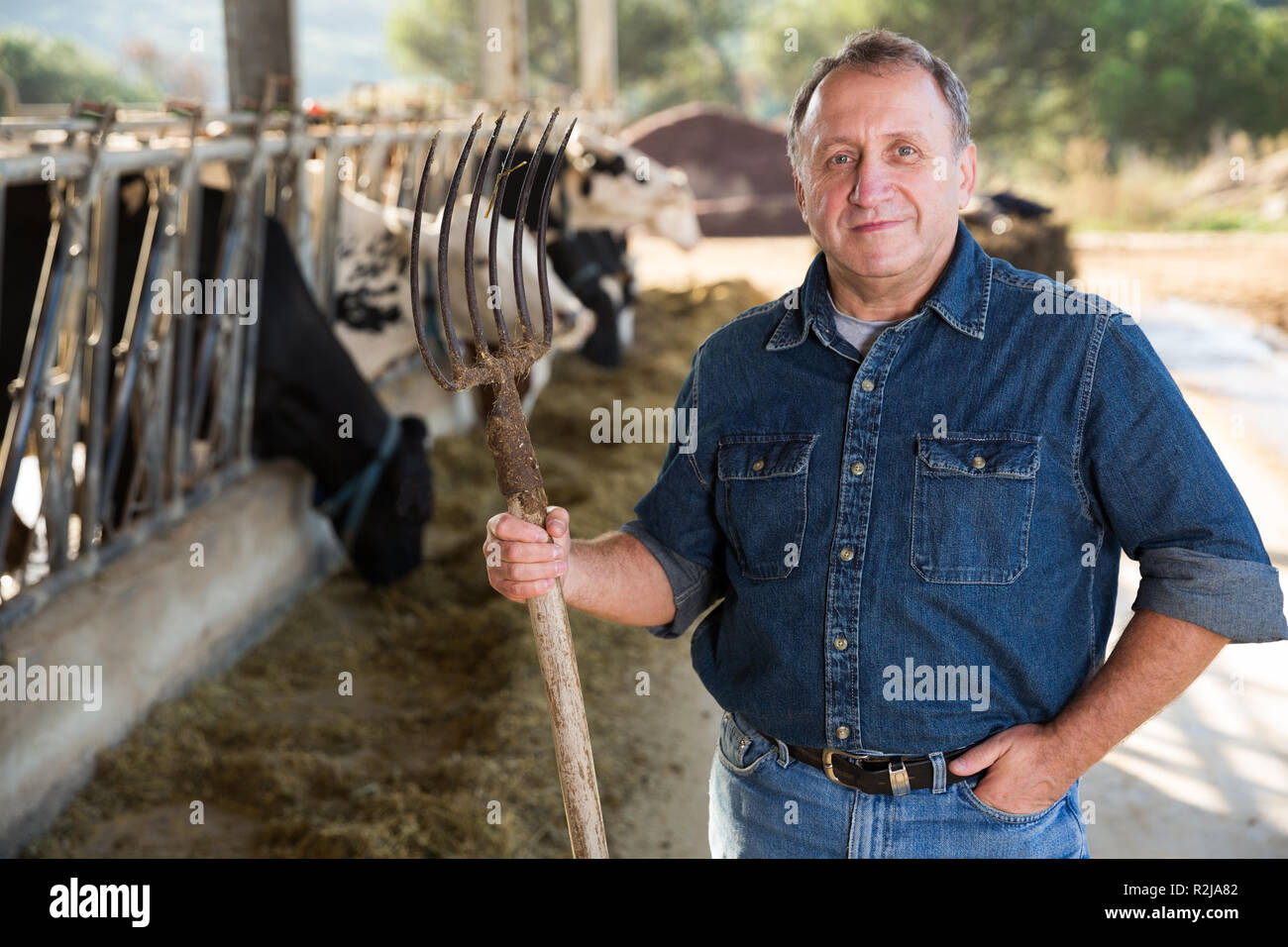 Portrait of male farmer who is standing at the cow farm Stock Photo - Alamy