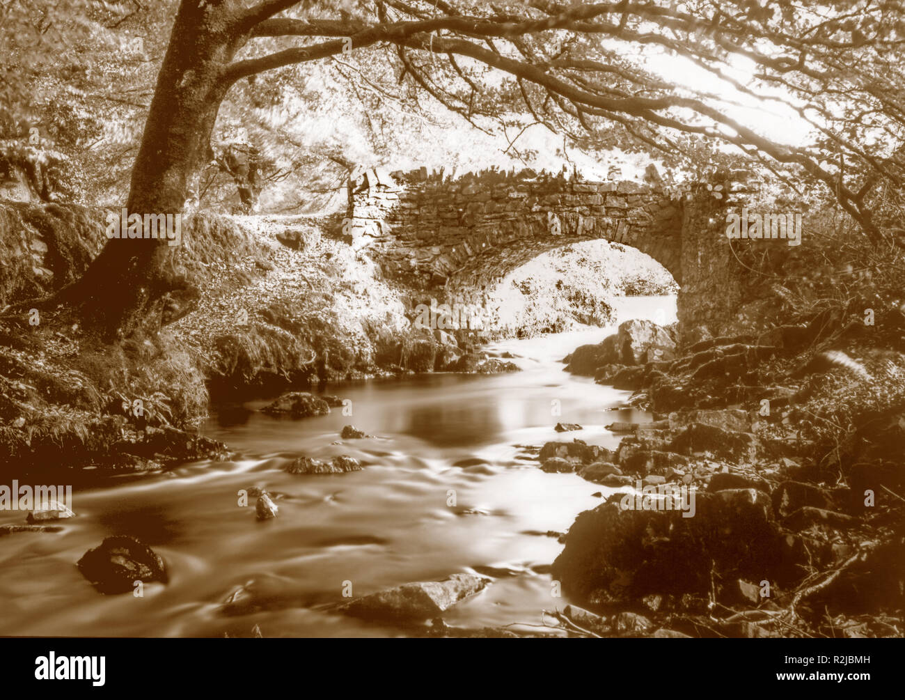 Sepia toned photograph taken on a paper negative in a 7 x 5 inch plate camera in 2018 of  Weir Water flowing under Robbers Bridge near Oare, Somerset. Stock Photo