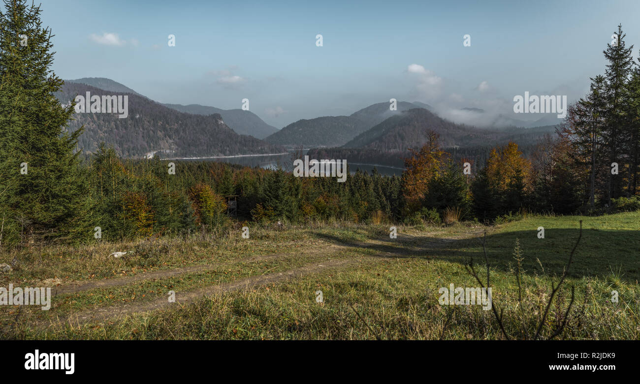 Waldweg zur Wiesalm mit Blick auf den Sylvensteinsee Stock Photo
