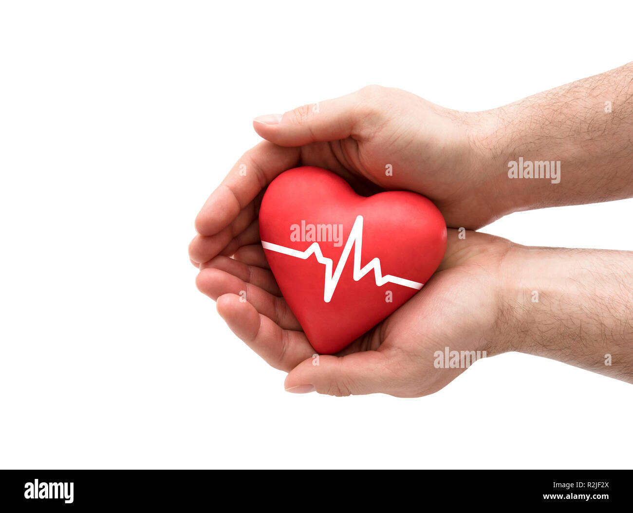 Red heart with pulse in man's hands. Stock Photo