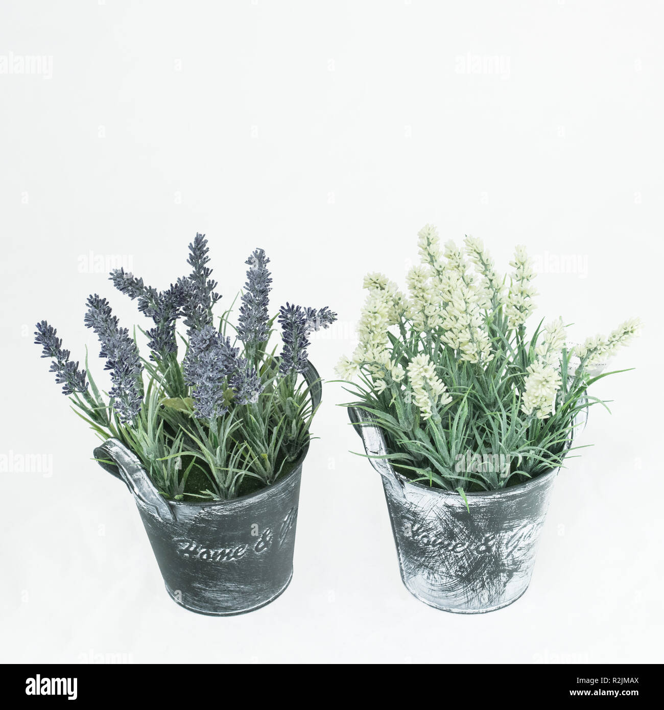 Artificial plants hires stock photography and images Alamy