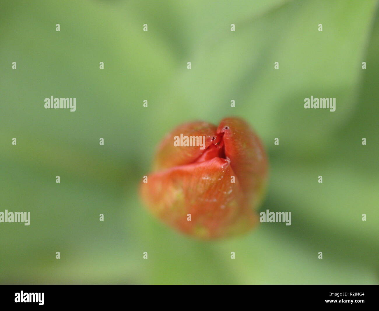 Open Me Stock Photo Alamy