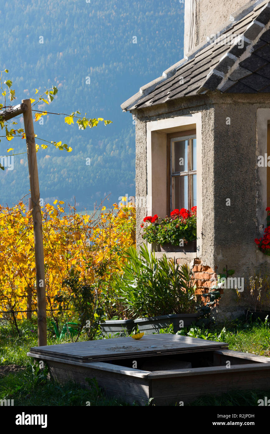 Italy South Tyrol Alto Adige Eisacktal Brixen Neustift Municipality Vahrn Vineyard Winery Kofererhof Of Gunther Kerschbaumer And Gaby Tauber House Detail Vineyard Stock Photo Alamy