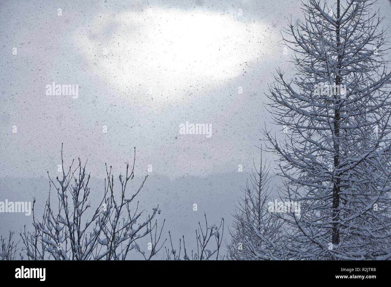 Snowfall hi-res stock photography and images - Alamy