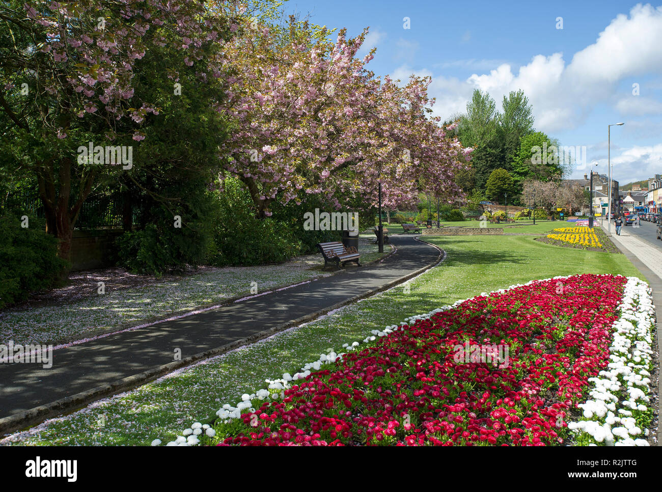 Bank street gardens scottish borders hires stock photography and