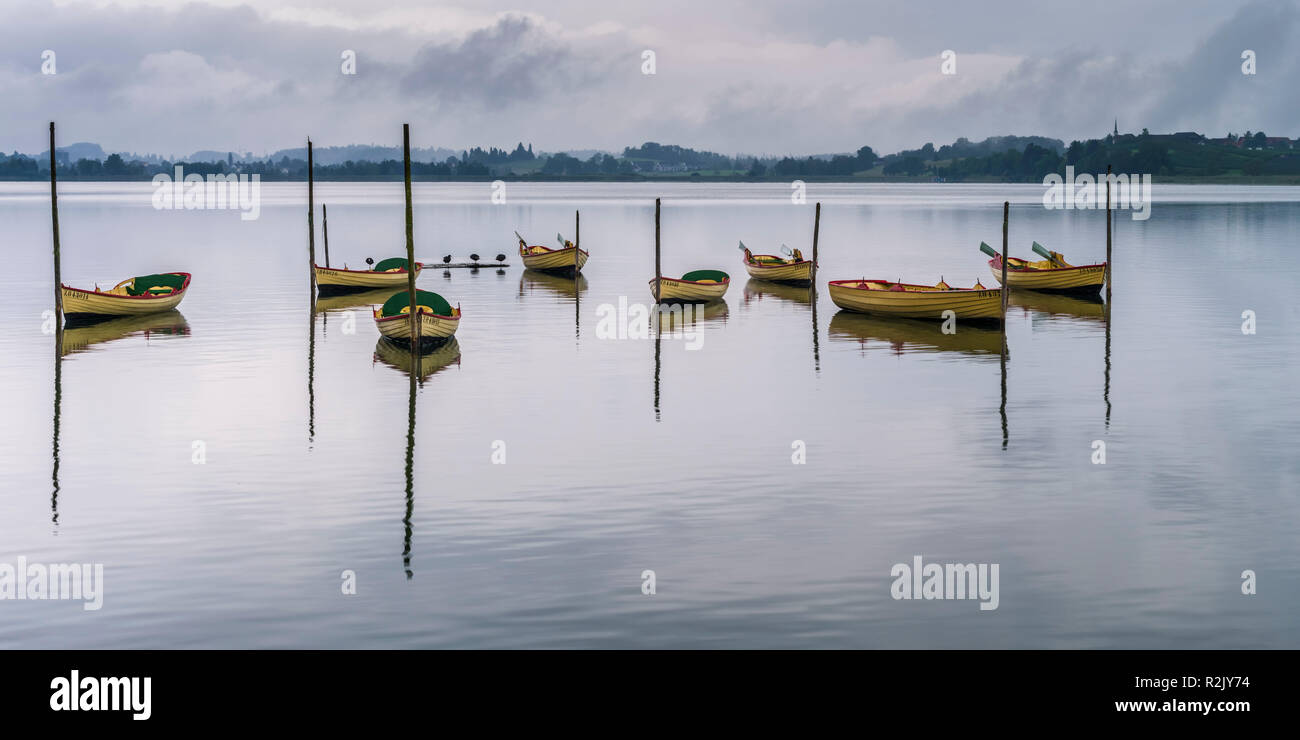 Rowing boats at dawn on the Pfäffikersee Stock Photo