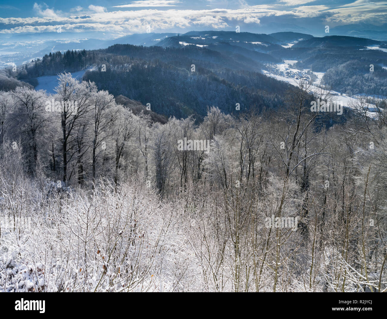 View from the Uetliberg over the Albis chain in winter Stock Photo