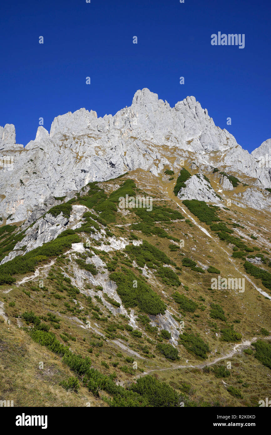 Austria, Tyrol, Wilder Kaiser, south view, view from the Baumgartenköpfl on  the Regalpwand and Repalpspitze, to the left Törlwand and Kleines Törl  Stock Photo - Alamy