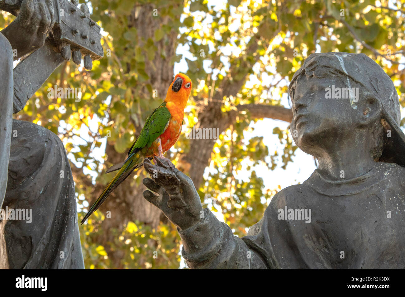 BOSSIER CITY, LA., U.S.A. - NOV. 16, 2018: A Jenday Conure, Aratinga jandaya, poses on a park statue on the Red River Waterway. Stock Photo
