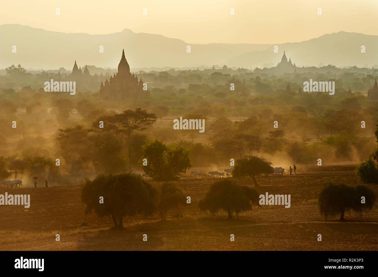 Temple complex Bagan, Myanmar, Asia, Stock Photo