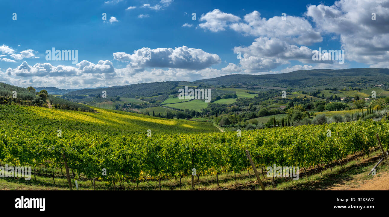 Landscape and Vineyards in Tuscany, Italy Stock Photo