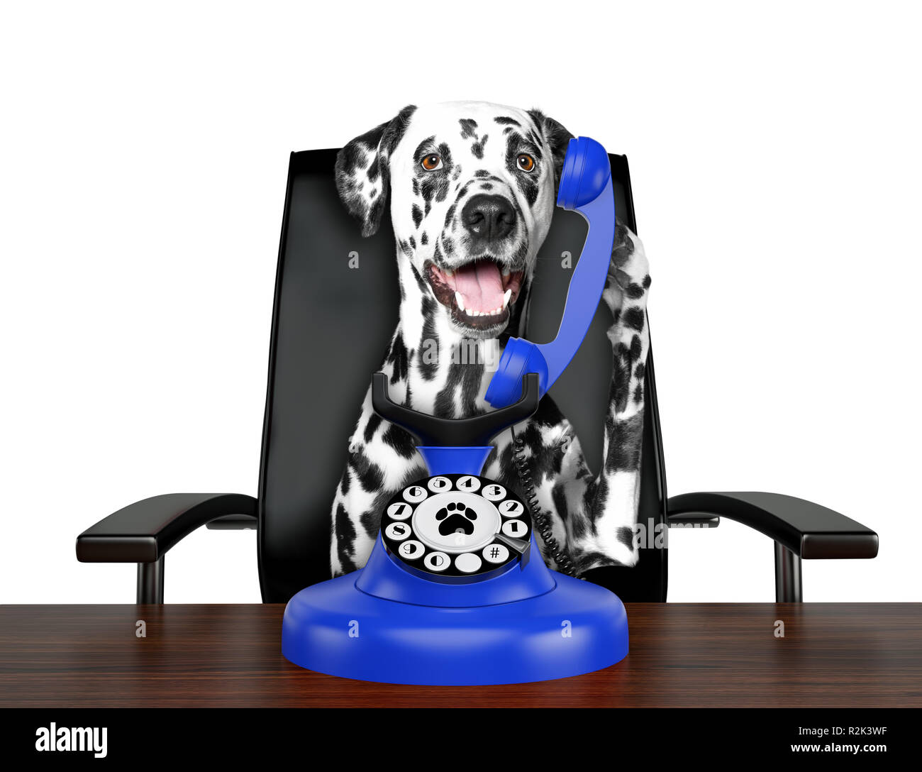Cute dalmatian dog is talking by blue old dial telephone. Isolated on white Stock Photo