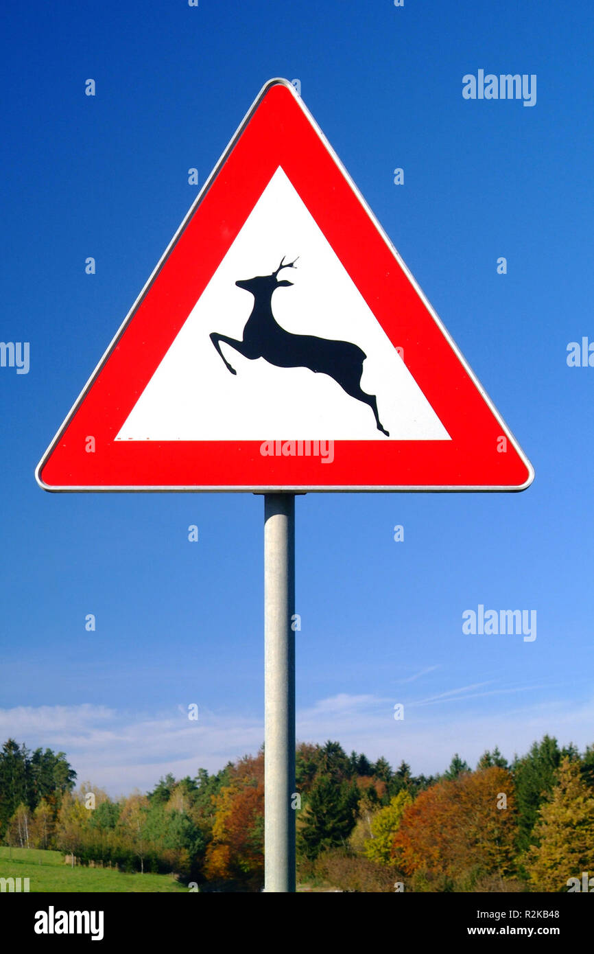 Дорожный знак олень. Знак олень. Дорожный знак осторожно олени. Предупреждающие знаки Дикие животные.